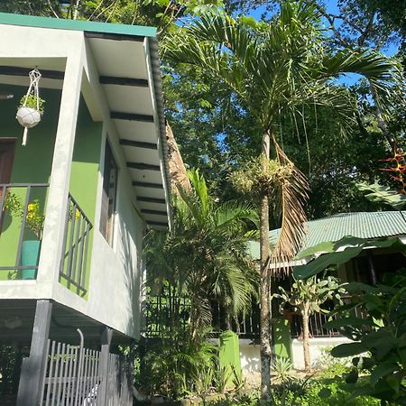 Bed and Breakfast Luxury Jungle On A Budget Wisdom Bnb Puerto Carrillo Exterior foto