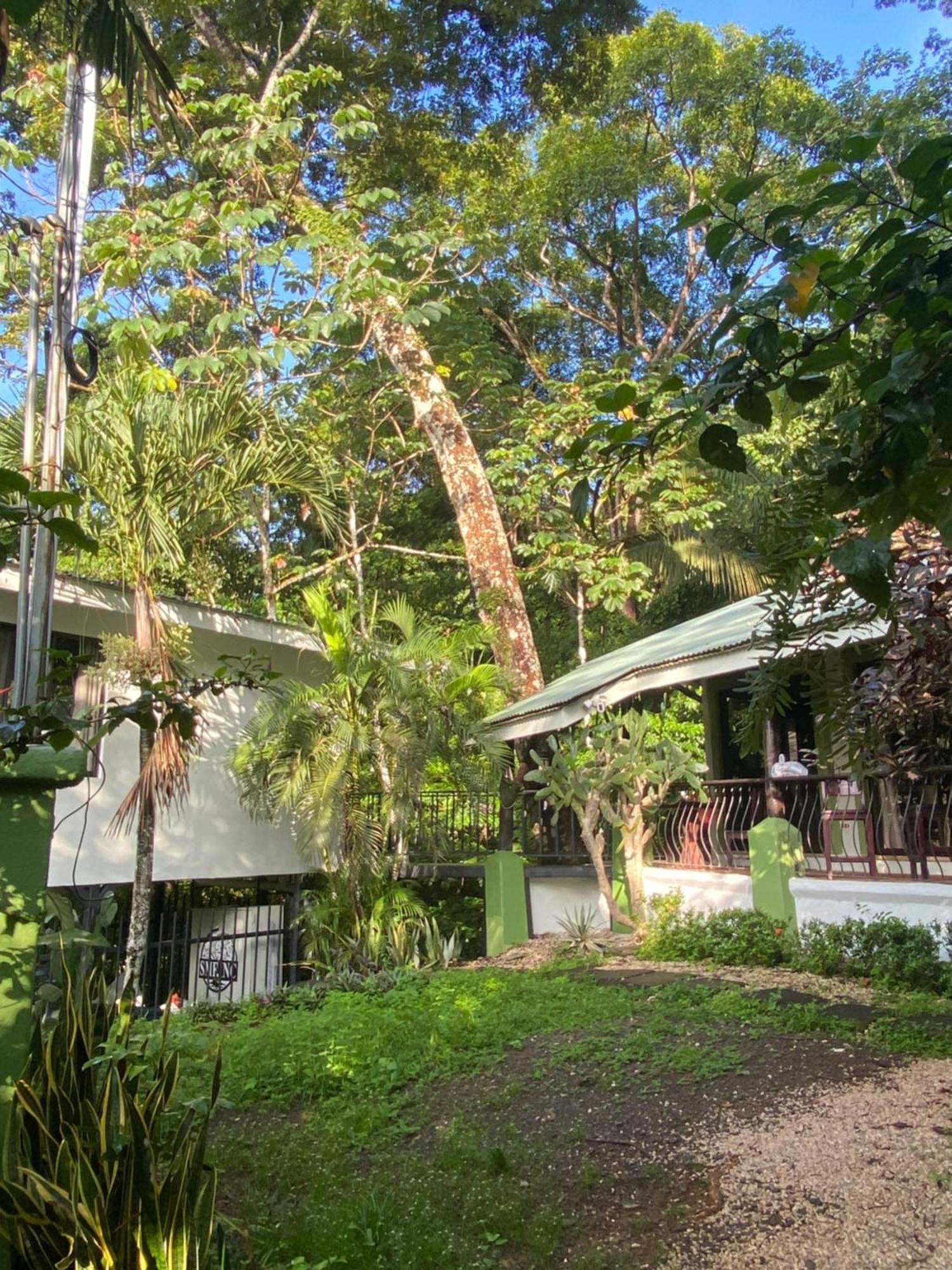 Bed and Breakfast Luxury Jungle On A Budget Wisdom Bnb Puerto Carrillo Exterior foto