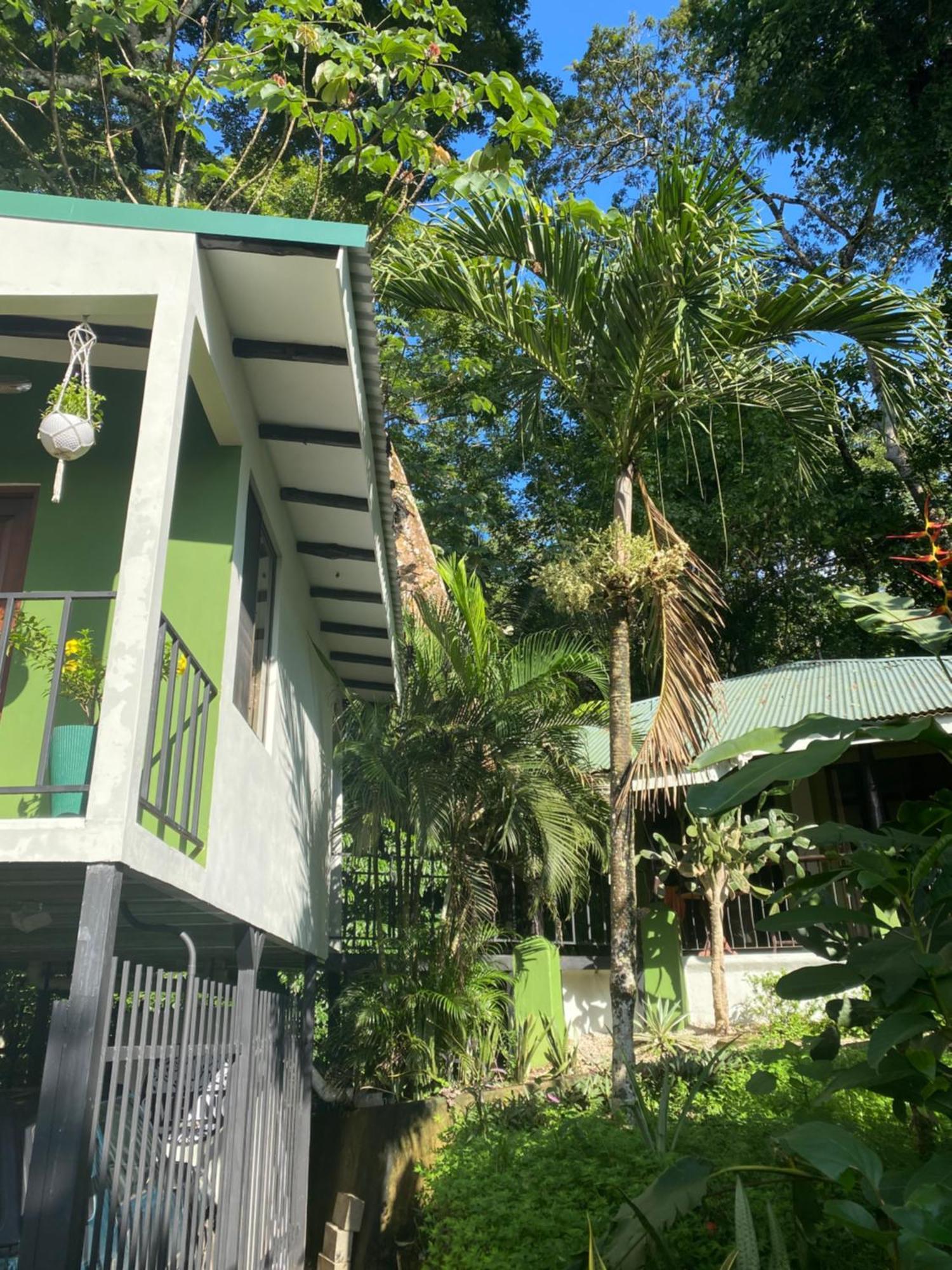 Bed and Breakfast Luxury Jungle On A Budget Wisdom Bnb Puerto Carrillo Exterior foto